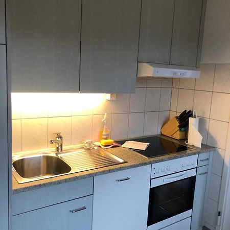 Cozy, Sunny, City Center 1 Bedroom Flat Zürich Buitenkant foto