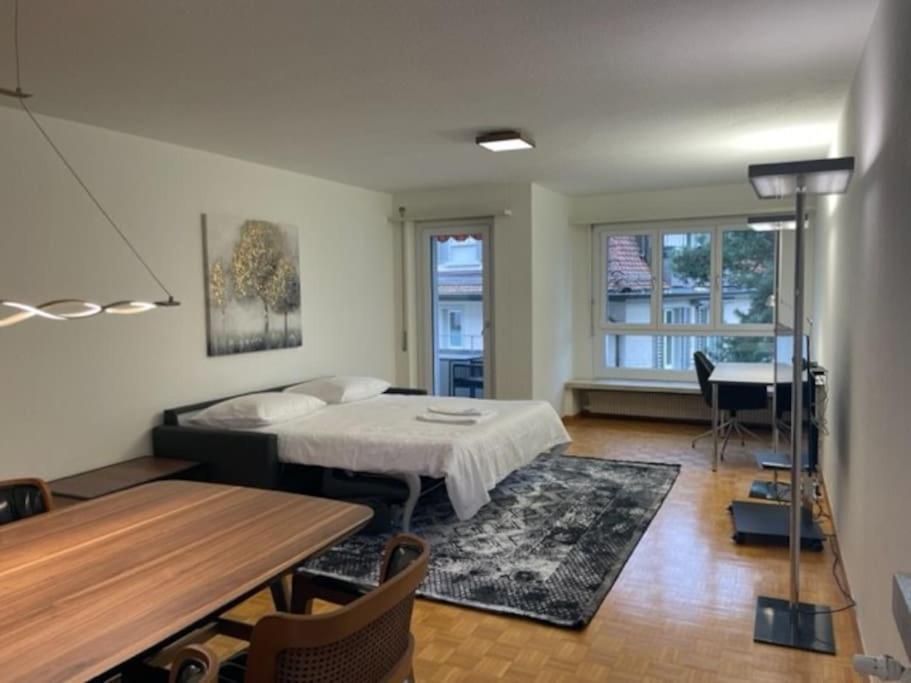 Cozy, Sunny, City Center 1 Bedroom Flat Zürich Buitenkant foto