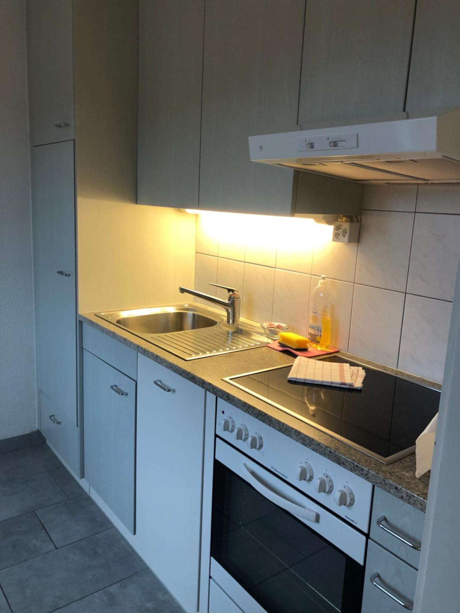 Cozy, Sunny, City Center 1 Bedroom Flat Zürich Buitenkant foto